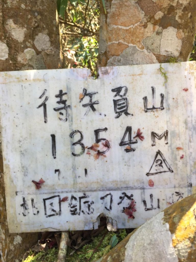 南插天山-待矢負山_291333