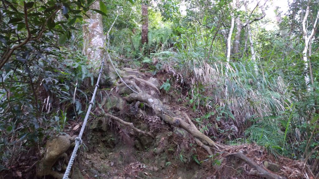 唐麻丹山+蝴蝶谷瀑布O型縱走_374551