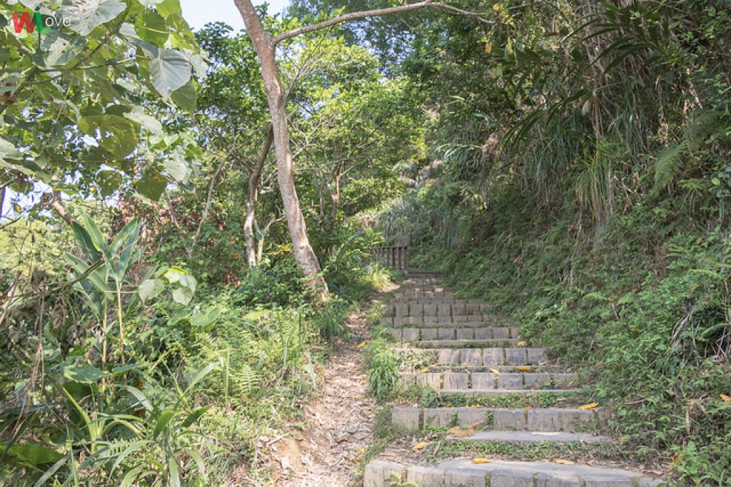 WL 愛旅行【三汀山】_291985