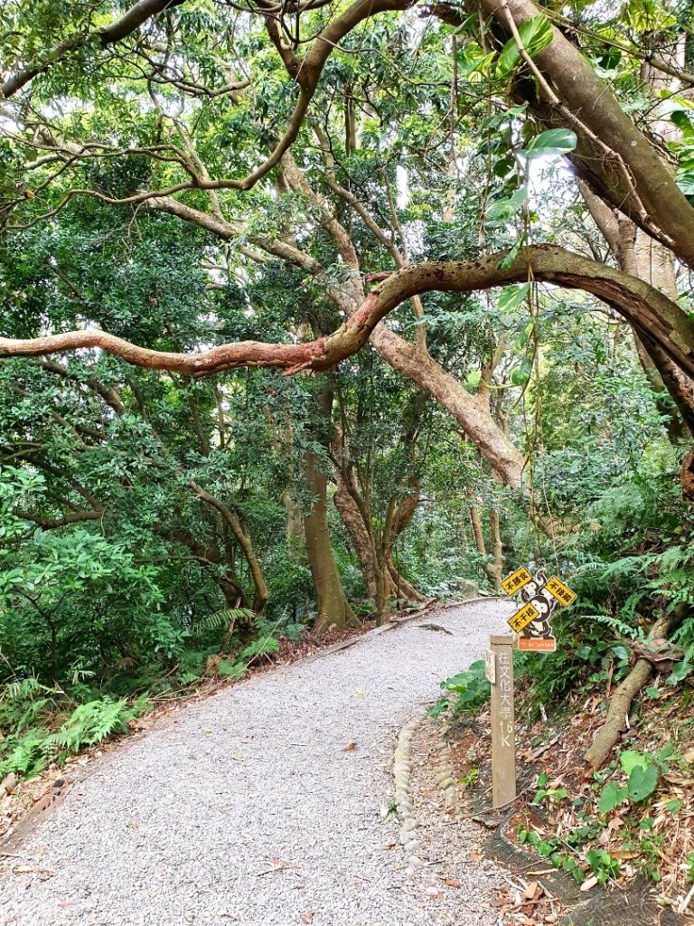 天母水管路古道，翠峰瀑布，芝山岩步道群，貴子坑水土保持園區，奇岩山，泰山義學坑步道，八連溪水車公園_1630903