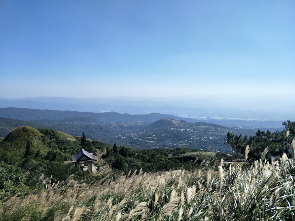 2018 10 29 七星山主、東峰登山步道_448080