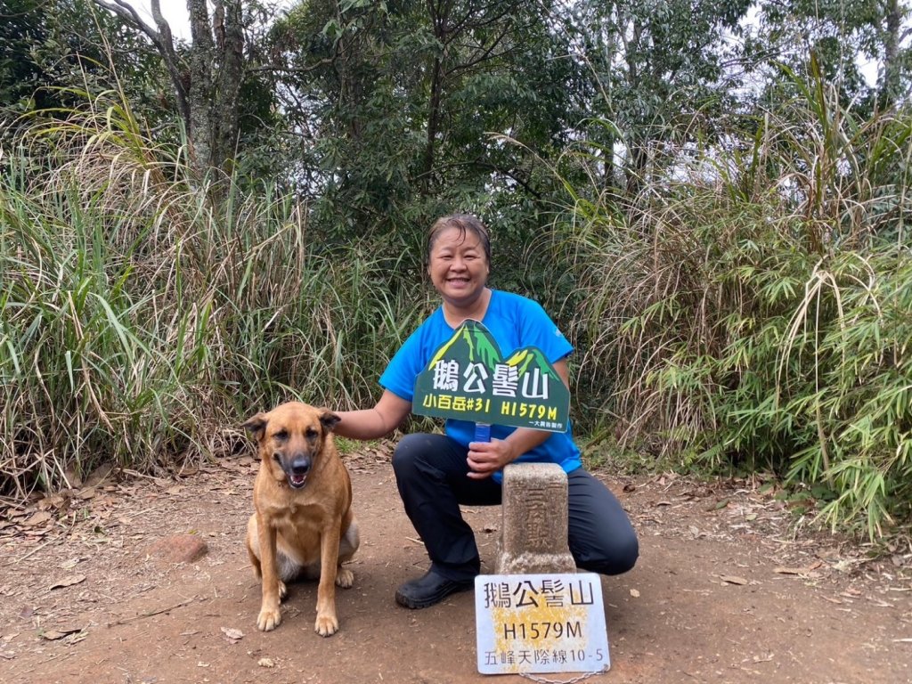 鵝公髻山（小百岳）鵝公髻山東北峰_2449850
