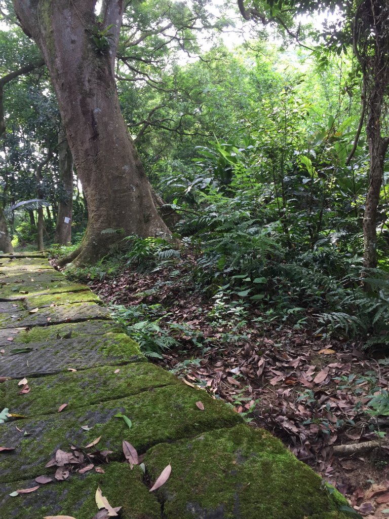 承天禪寺-天上山步道_754399