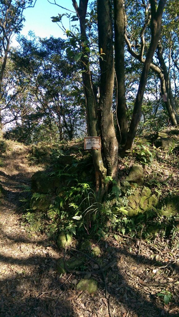 107.03.11 基隆暖暖碇內尖砲台 + 龍門山_285236