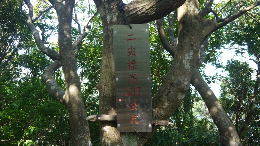 觀音山登山健行趣(小百岳05號)_1632427