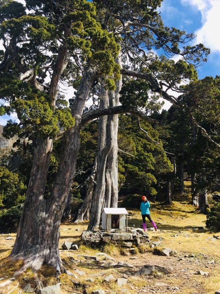 雪山主東峰下翠池_466638