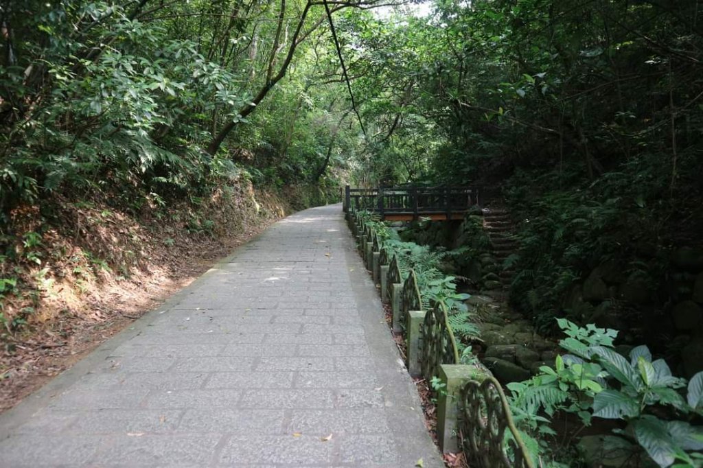 小百岳NO.13南港山，南港山北峰，九五峯_2285571