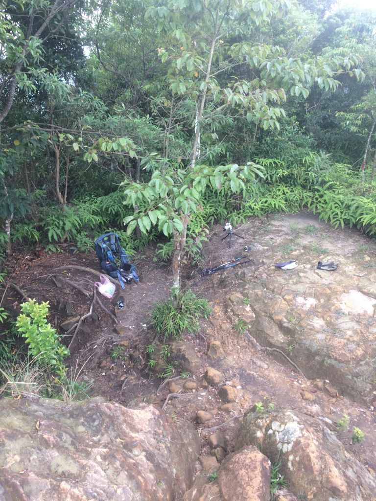 石牛山之溪_399946