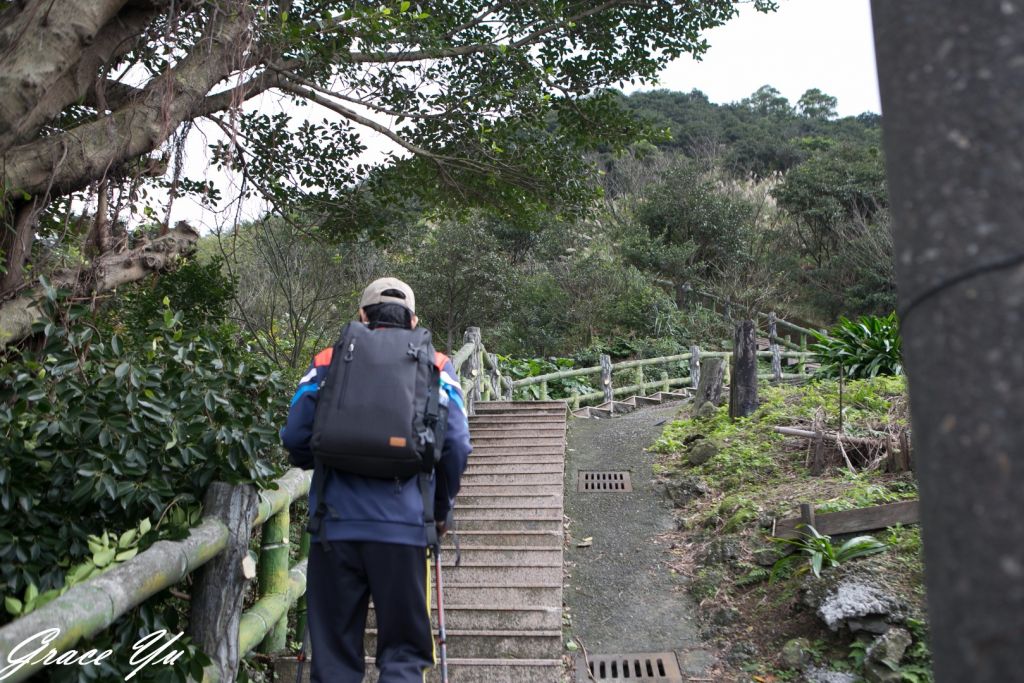 無耳茶壺山_233749