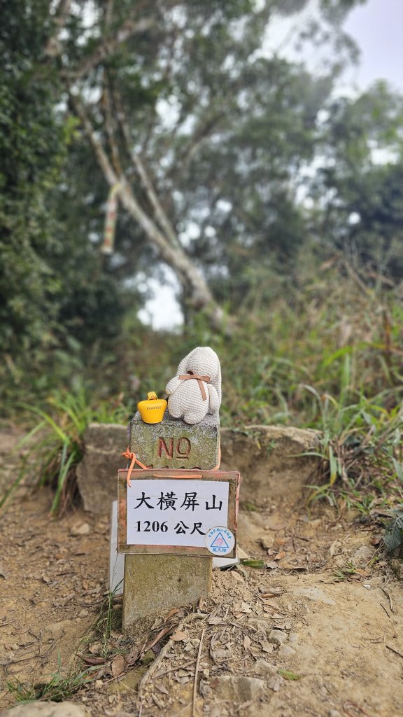 【稜線瘦如刀鋒，山形橫亙如屏風】解鎖第55座小百岳 #045 大橫屏山_2932873