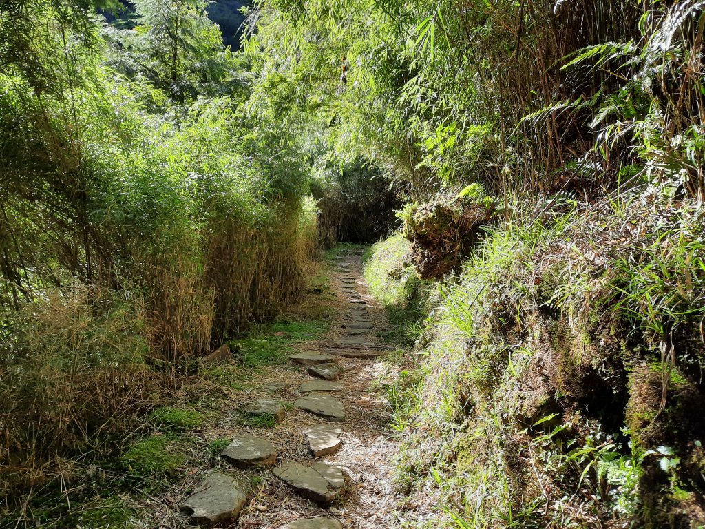 鹿林前山、鹿林山、麟趾山、玉山登山口O型_1037701