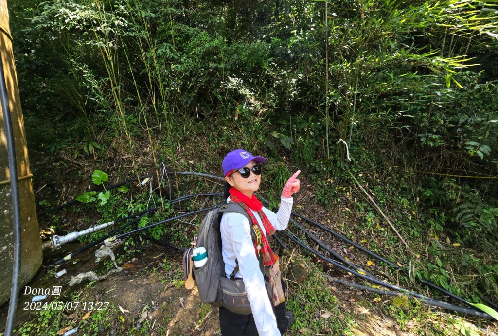 坪林三星(鬼子瀨尖.源茂山.和尚髻山)全紀錄_2498674