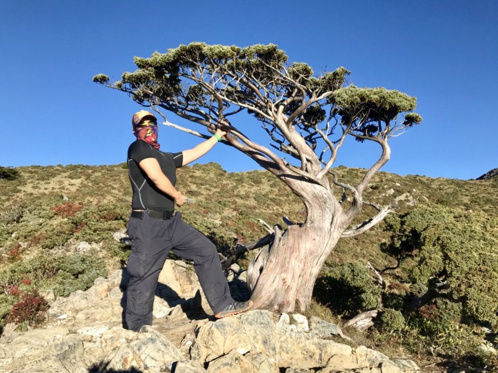 嘉明湖、向陽山、三叉山_335830