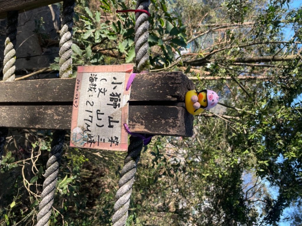 和小盆友們爬山的快樂時光❤️小獅山-和美山_2662076