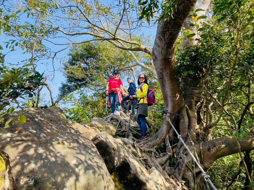 🌈12/8(日)-小百岳-旗尾山O型~旗山糖廠順遊旗山老街🌈_2665040