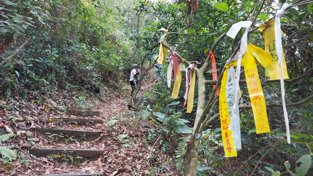 [新竹關西鎮]縱走赤柯山，赤柯山南峰，東獅頭山_2127083