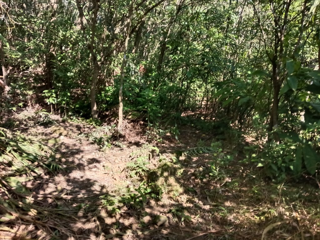 雙溪區大平林山+后番子坑古厝+后番子坑山+武山煤礦事務所+焦炭窯O型_2988528