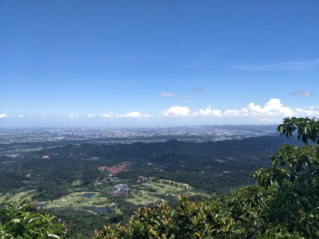 2019 07 17 金面山步道_631772