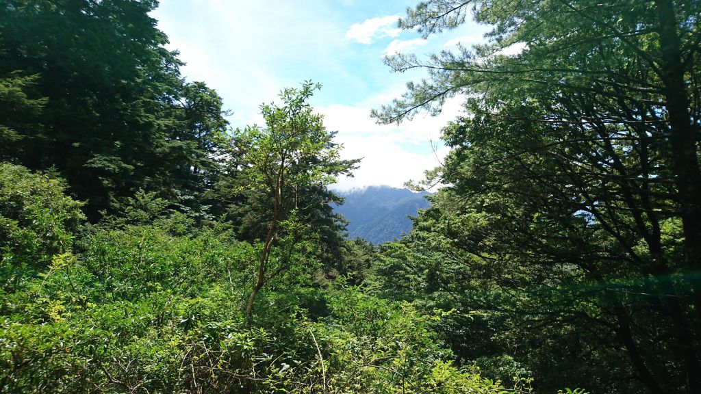 106.09.30~01 奇萊南峰、南華山_176274