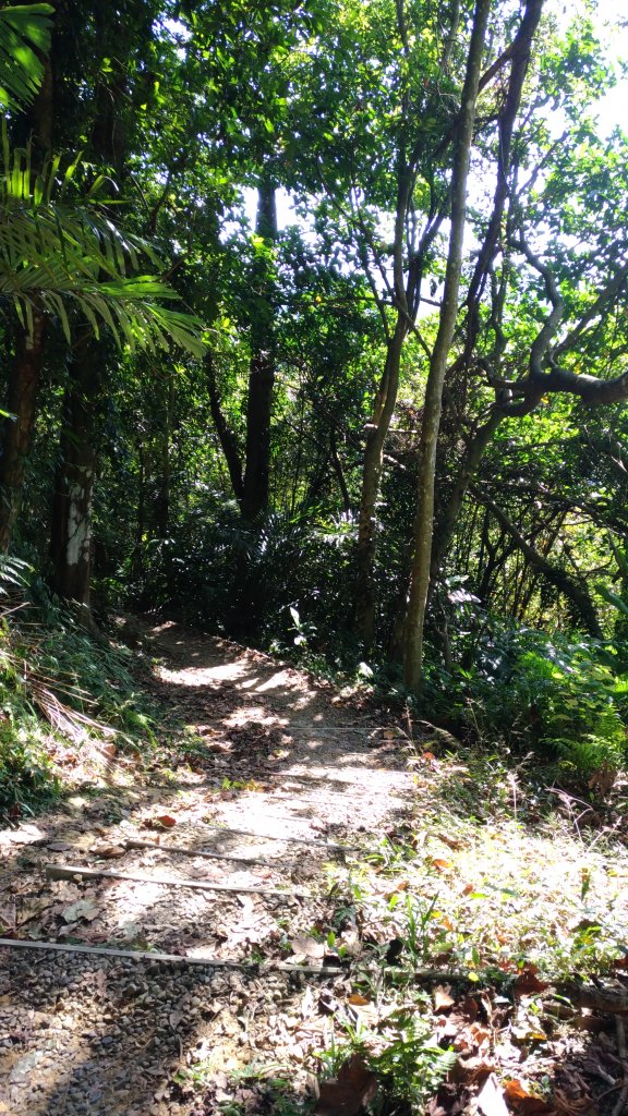 大溪大灣坪古道-環湖公路-新溪洲山步道_728074