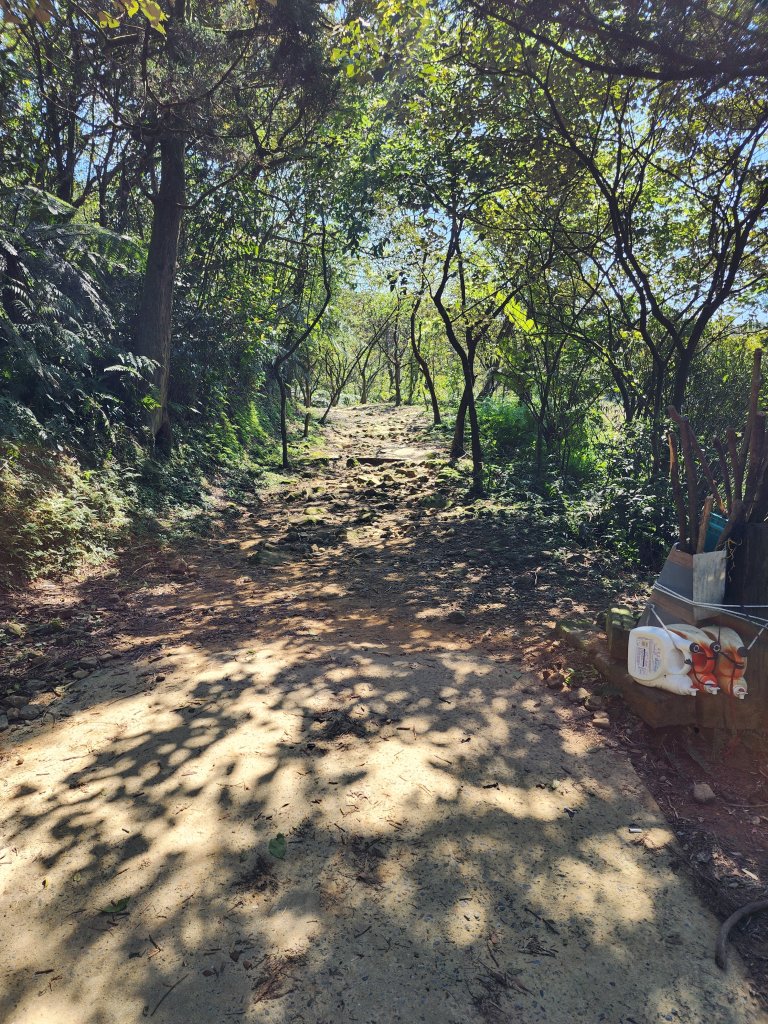 20250322-姜子寮山_2739977