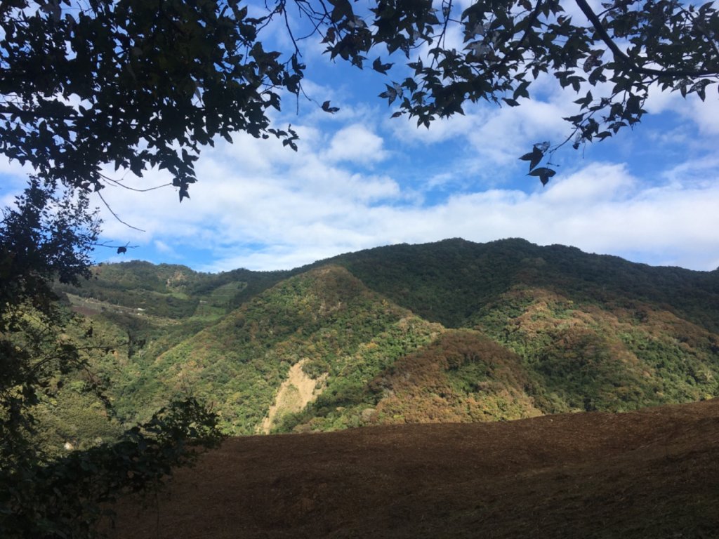虎山西南峰、虎山（石壁探險、台灣櫸）_2364957