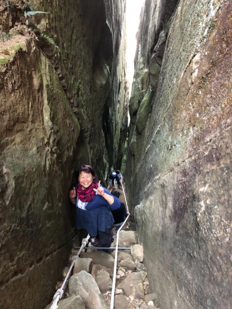 竹子尖山到獵鷹山_473243