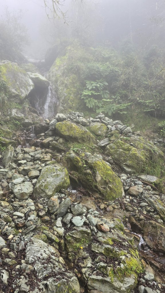 20251211-1216 新康橫斷+嘉明湖_2965525