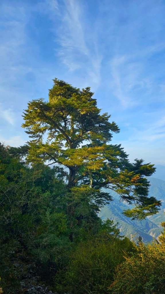 112.04.16 玉山前峰_2123650