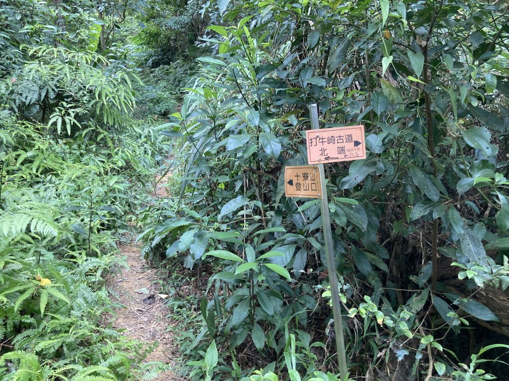打牛崎古道_2564062