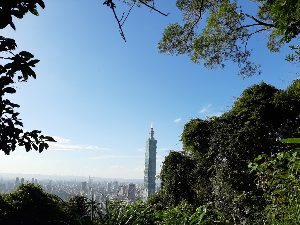 虎、豹、獅、象、九五峰、南港山、拇指山_1145263