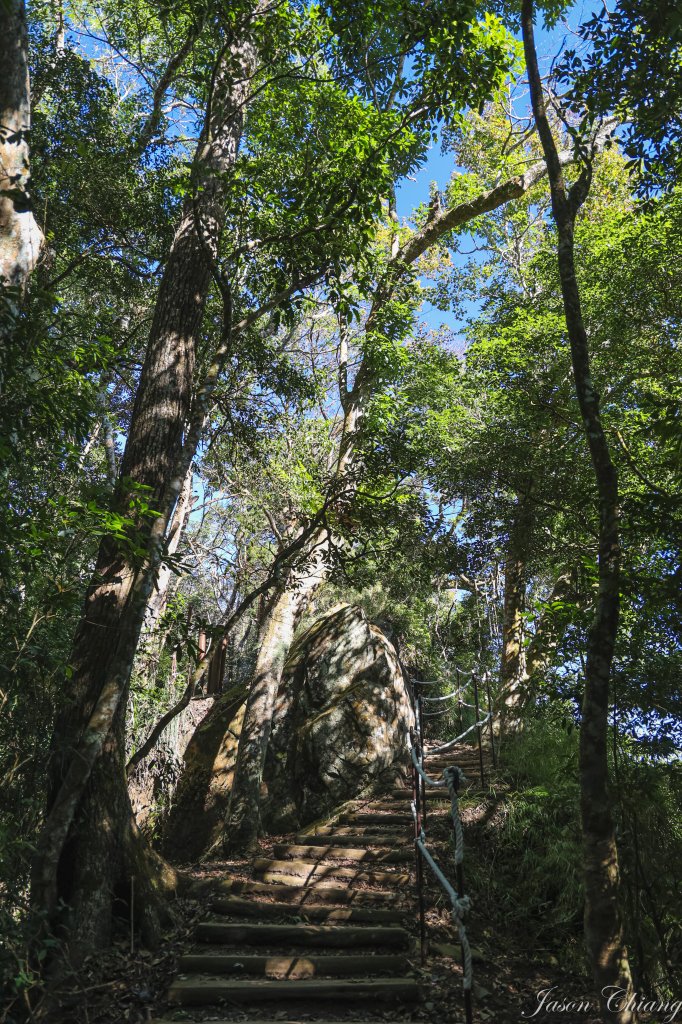 [苗栗]馬那邦山_2355192