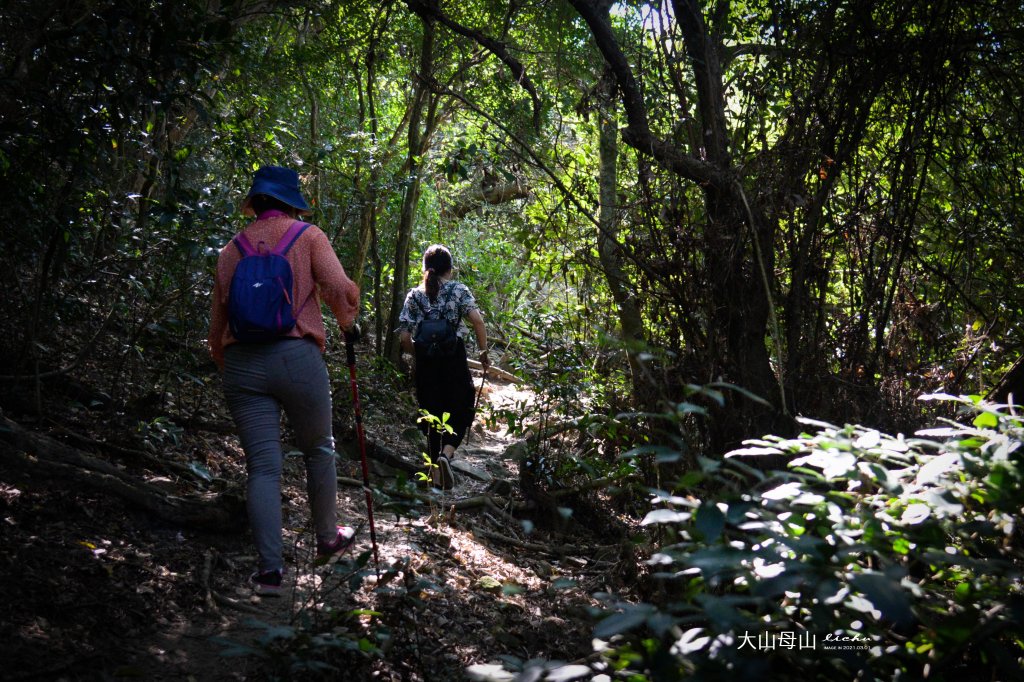 屏東縣恆春-大山母山步道_1456027