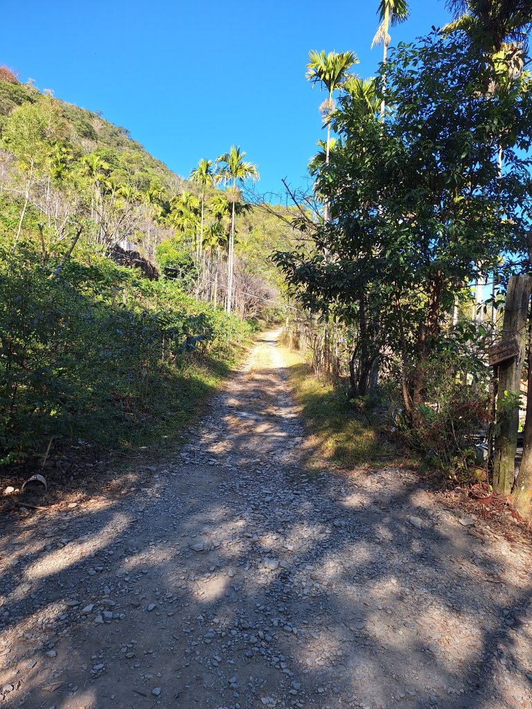 德文山(觀望山)20260105_2978635