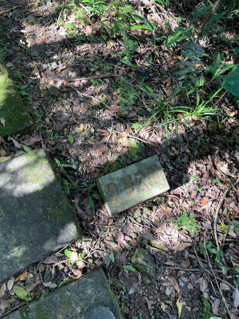 2023芒花季_2357439