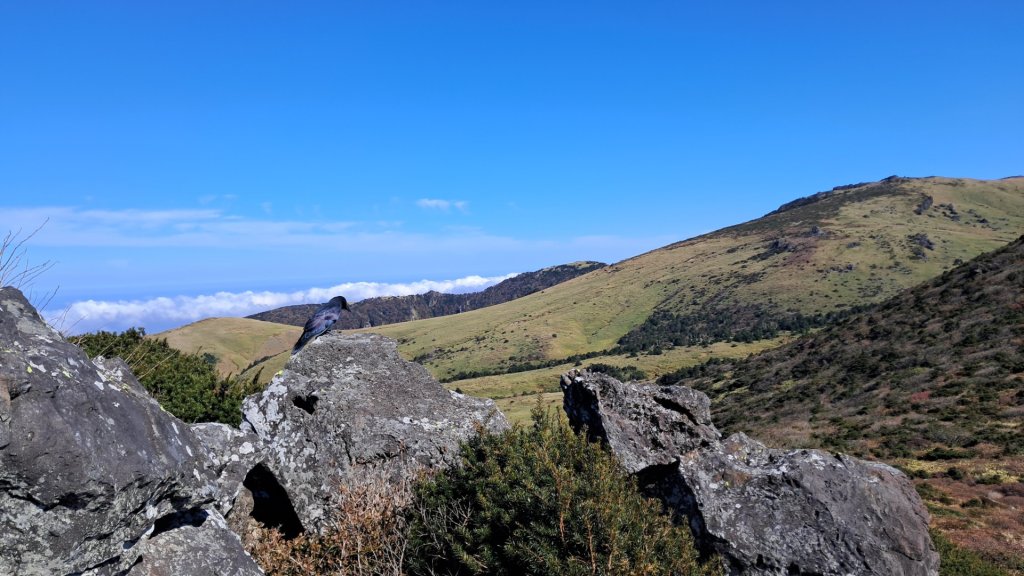 濟州島漢拏山-靈室路線上_2942673