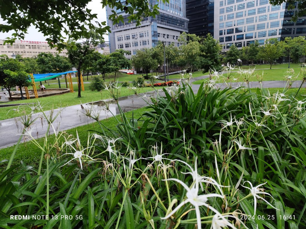 大安森林公園【走路趣尋寶】；大港墘公園、瑞陽公園【臺北健走趣】_2535187