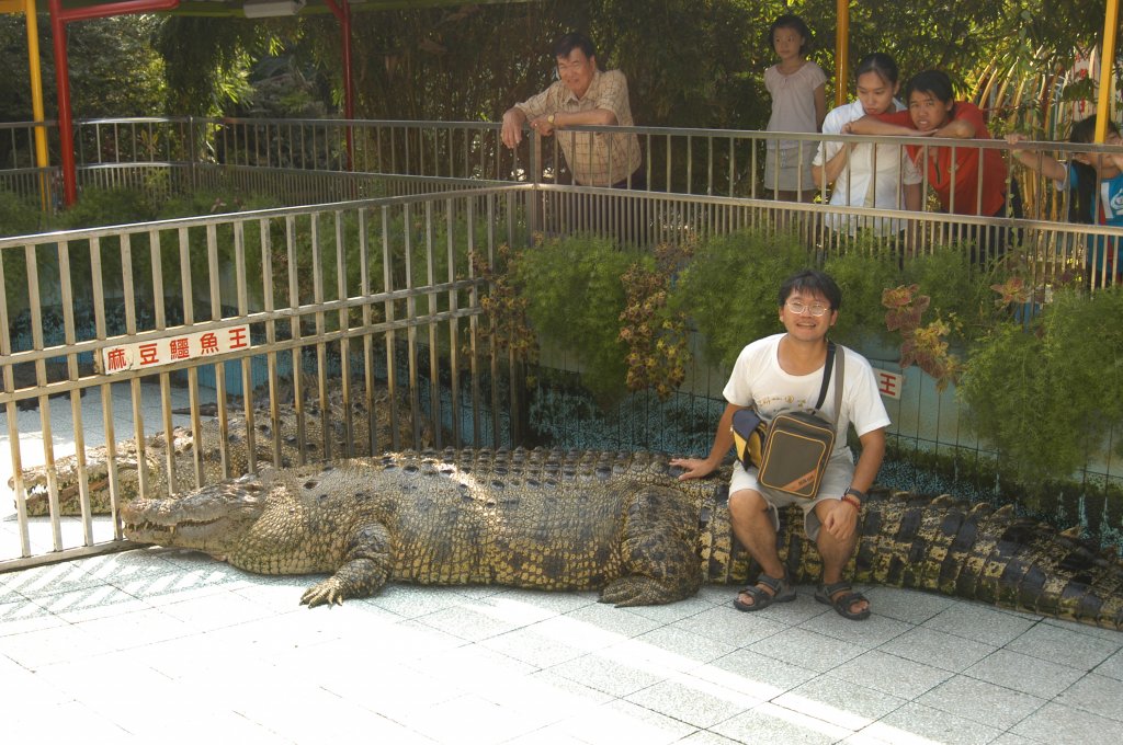 2003_0928_麻豆鱷魚王_2062442