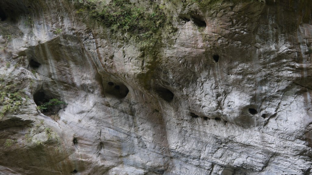 錐麓古道登山健行趣(古道)_1742068