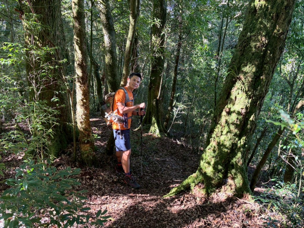 哈勘尼山-加里山【完美收官完登小百岳】_2942491