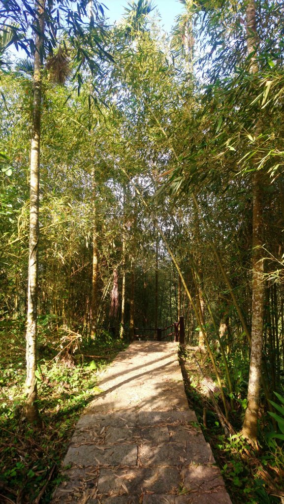 華山小天梯、情人橋_1602960