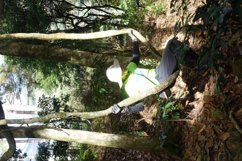 探訪消失的白雪村+北霞山東水兒玉山O型縱走_1991263