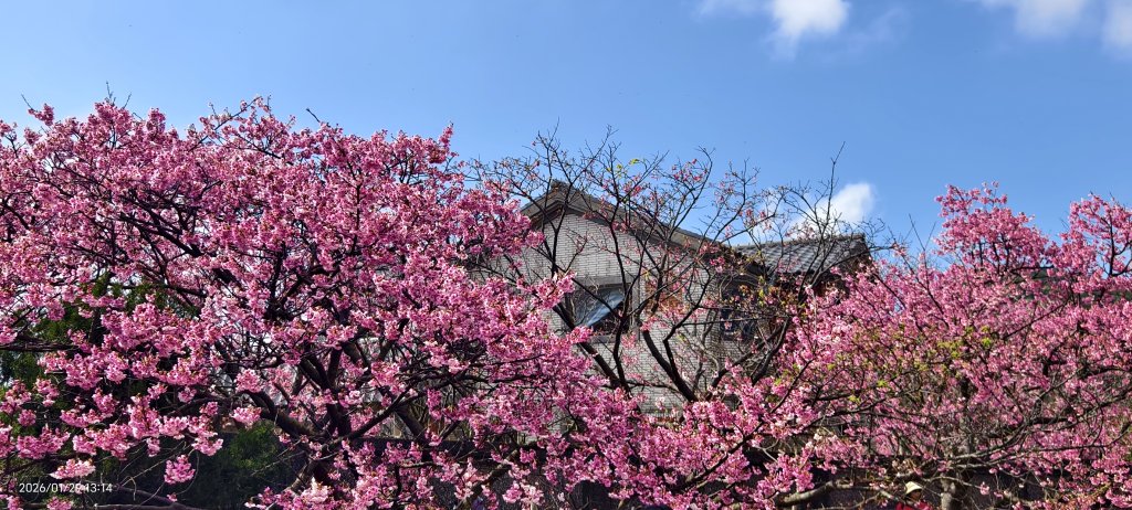 天元宮了嗎？2/3&10&14_2992620