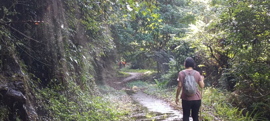 2024/06/22-鴛鴦谷瀑布群步道_2534181