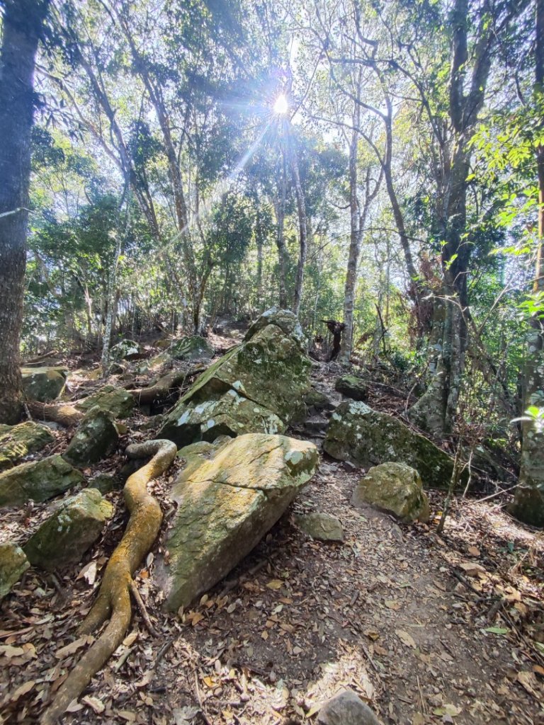 谷關老六白毛山_2690348