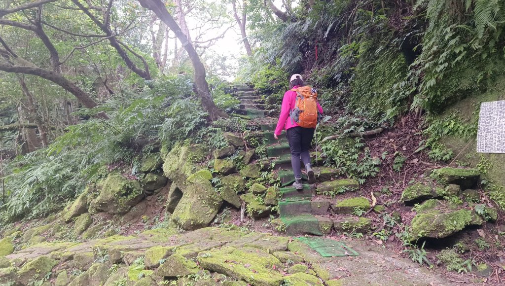 (姨婆趴趴走)第四十七集:新北土城大暖坑山等諸峰攀登連走_2738799