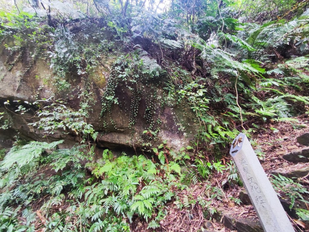 淡蘭南路2+1逆走_2671853