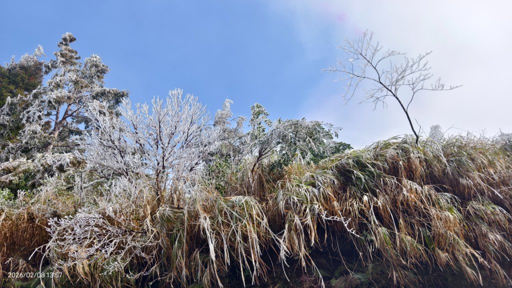 #霧淞 #雲海 #雲瀑 #霧虹 #太平山 #望洋山 #觀雲步道 #翠峰道路  2/8_2995232