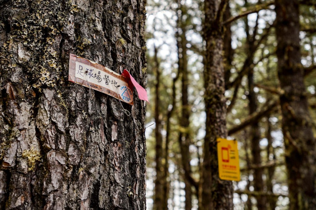 戒茂斯上嘉明湖三天兩夜_2769408