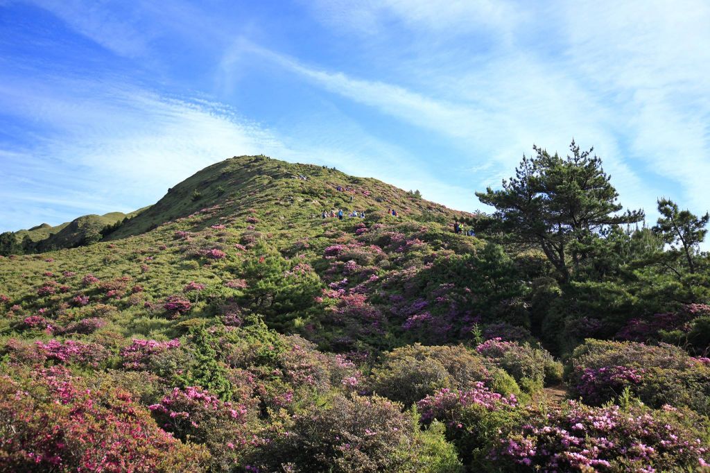 2018.6.3 七上八下合歡北西峰_346145